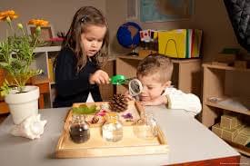 ĐÔI BÀN TAY KỲ DIỆU TRONG MONTESSORI 